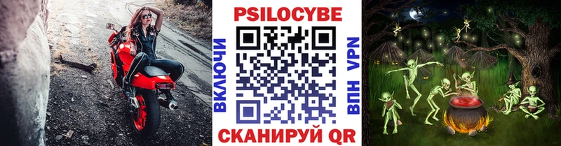 где купить   Верхняя Тура  Галлюциногенные грибы Psilocybe 